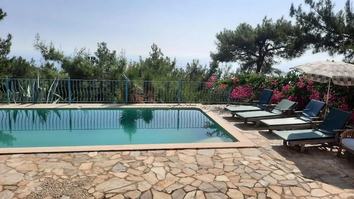 Villa With Sea Views In Faralya 페티예